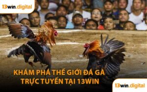 Khám Phá Thế Giới Đá Gà Trực Tuyến Tại 13WIN