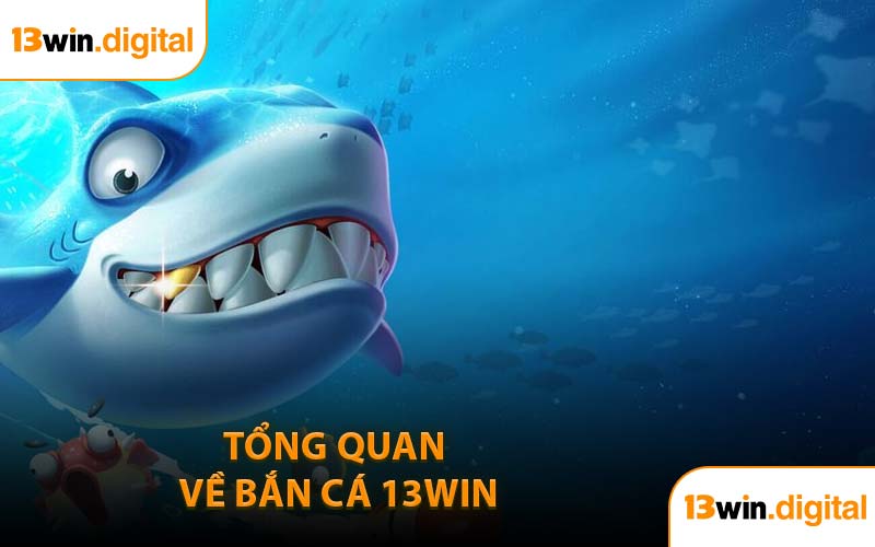 Tổng quan về bắn cá 13WIN