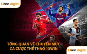 Tổng quan về chuyên mục cá cược thể thao 13WIN