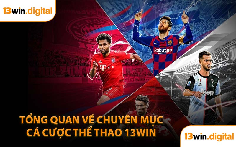 Tổng quan về chuyên mục cá cược thể thao 13WIN