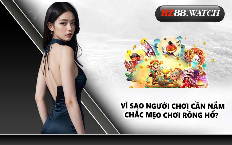 Vì sao người chơi cần nắm chắc mẹo chơi Rồng Hổ?